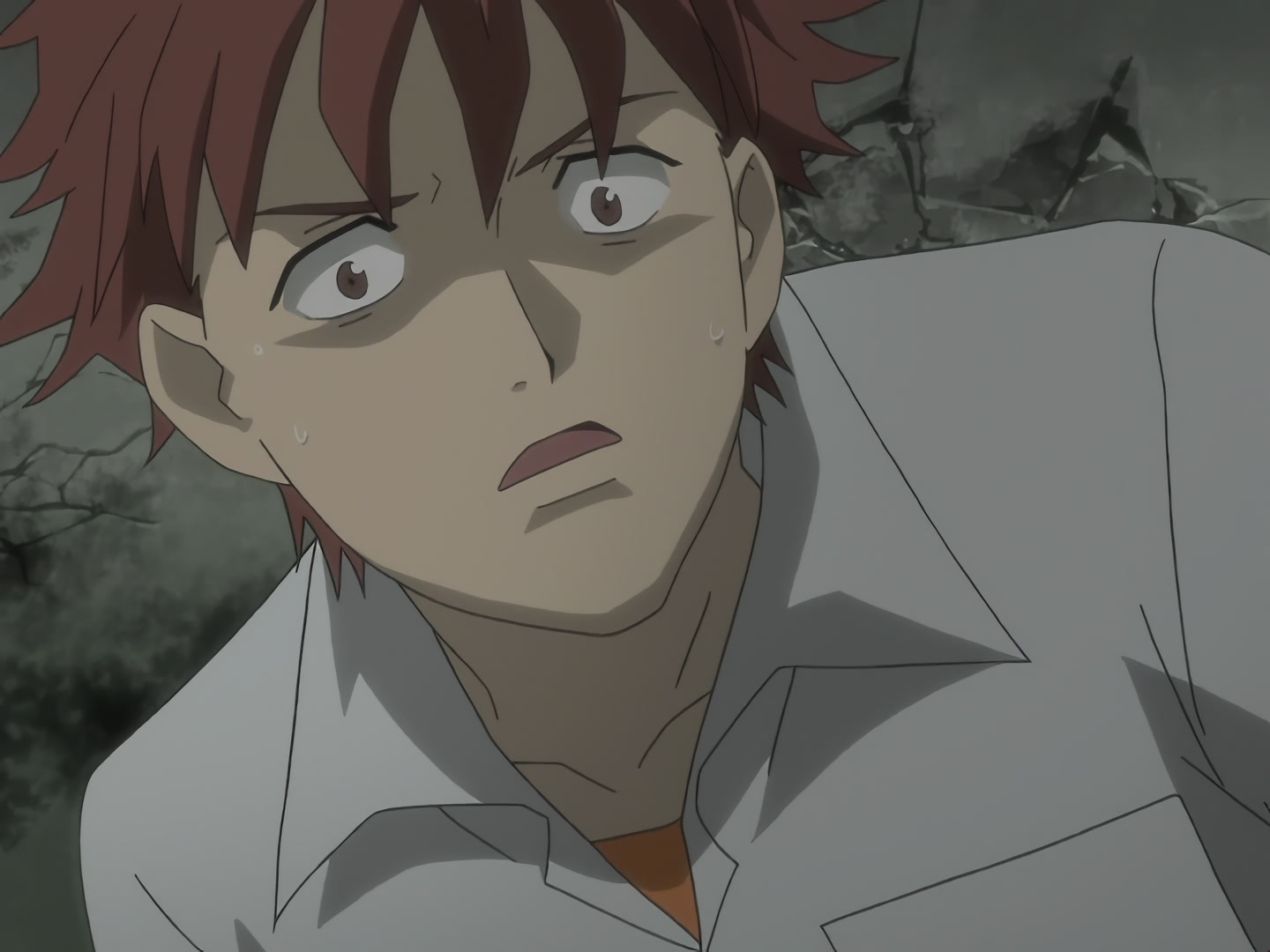 Blood+ Ep 13: Jungle Paradise @ 06:18